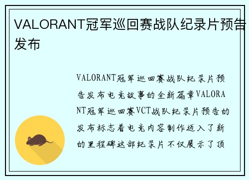 VALORANT冠军巡回赛战队纪录片预告发布