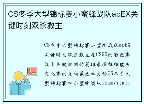 CS冬季大型锦标赛小蜜蜂战队apEX关键时刻双杀救主