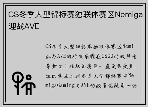CS冬季大型锦标赛独联体赛区Nemiga迎战AVE
